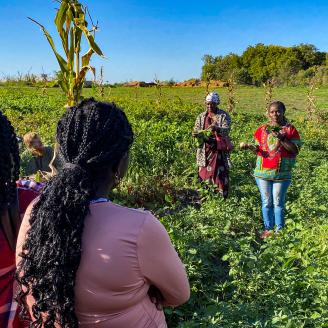 Young female Iowa farmer talking to a group of people on her urban vegetable plot.