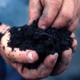 Soil