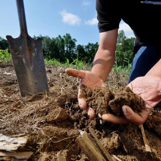 Soil Health