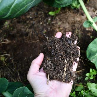 hand holding soil in Alaska