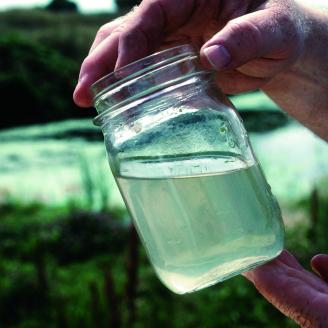 Water Quality