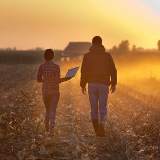 Two people walking in a field facing away from the camera at sunset