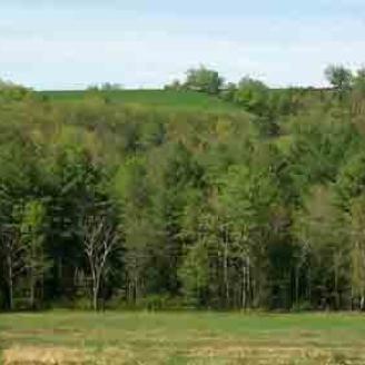 A picture of Drumlins in New Hampshire, where Marlow soil is found.