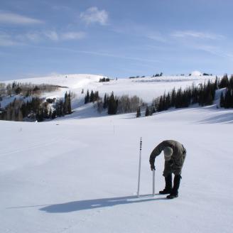 Image of scientist measuring snow pack