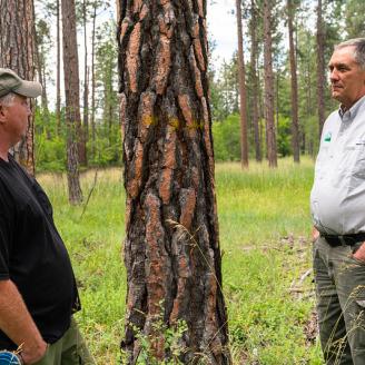 Herb Webb and Shawn DeFrance discuss forestry projects.
