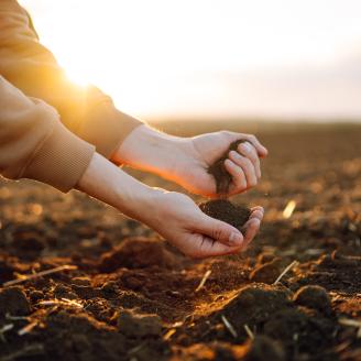 Only the arms and hands of a person kneeling in a field with soil in both hands for evaluation