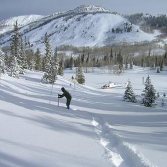 Program worker measuring snow manually in remote wilderness