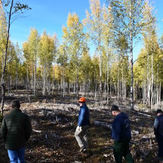 People walking in a section of cleared forest on a fuel break site.