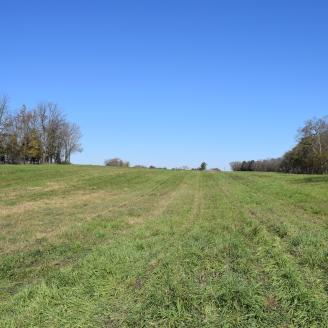 West Virginia Crop field