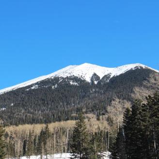 Snow covered mountain top surrounded by forest near Flagstaff, Arizona.