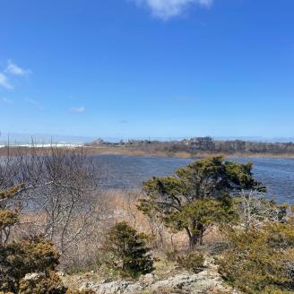 View of Long Pond in the Sakonnet River, RI, watershed.