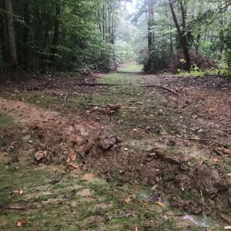 erosion control in and Indiana forest