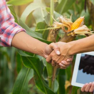 Two farmers shake hands in front of a corn field. 