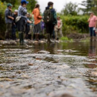 dam removal tour event