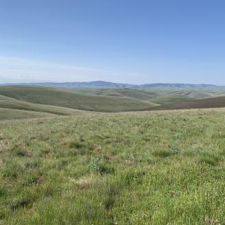 A view across the range in Eastern Oregon