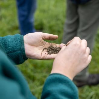 soil in hands