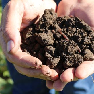 Hands holding soil with organic matter