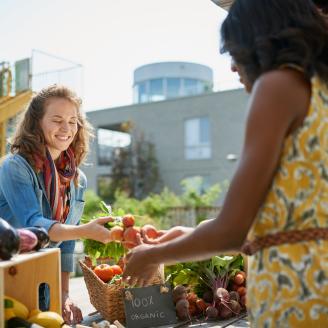 urban farmers market in summer