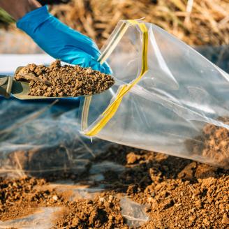 a scientist scooping soil into a plastic bag