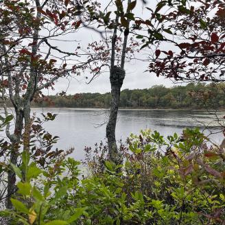 Pond in Hopkinton, Rhode Island, in the headwaters of Tomaquag Brook - Pawcatuck River watershed.