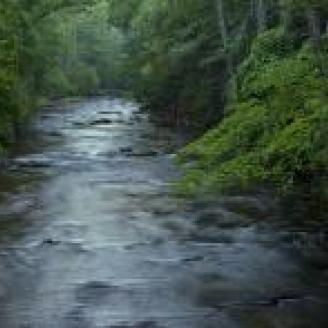 Gentle Stream