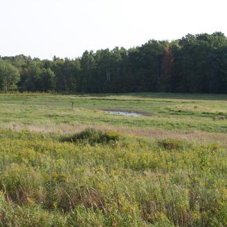 A landowner in Chippewa County, Wisconsin worked with the U.S. Department of Agriculture (USDA) and the Chippewa County Land Conservation and Forest Management (LCFM) to restore a wetland area and create a riparian buffer.