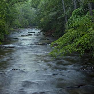 A morning river scene in the Davidson River Campground, Pisgah National Forest, NC, July 29, 2017. (USDA Photo by Lance Cheung)