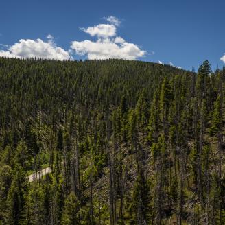 Cars drive through Thompson Park in Beaverhead-Deerlodge National Forest.
Beaverhead-Deerlodge National Forest is the largest of the national forests in Montana, covering 3.35 million acres and throughout eight Southwest Montana counties.  
USDA Photo by Preston Keres