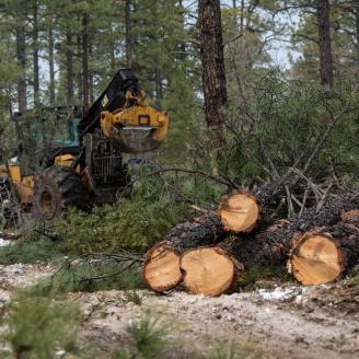 A U.S. Department of Agriculture (USDA) Forest Service (FS) Apache-Sitgreaves National Forests, Lakeside Ranger District's Billy Mountain timber sale contractor uses the skipper's grapple to grab several trees and drags them to a worksite to harvest, and load logs onto trucks, near Lakeside, AZ, on Dec. 6, 2018. This is part of the broader Four Forest Restoration Initiative, which is intended to treat more than 2.4 million acres of ponderosa pine forest across northern Arizona. 
 Current activity includes t