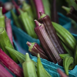 Green Bexar Farm okra sold at the Pearl Farmers Market in San Antonio, Texas, on Oct 24, 2020. Cody Scott arrives at 8AM to set up his stand, then his mother Linda arrives an hour later to take over the selling operations while he returns to work at Green Bexar Farm, in Saint Hedwig, Texas, near San Antonio. The farm is owned by Cody and Natalie Scott, and their customer base is their CSA, local farmer's markets, and restaurants. Here at the Pearl Farmers Market, Green Bexar Farm is one of more than 45 ven