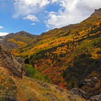 The rugged landscape of Lamoille Canyon is softened by the warm autumn colors found in the Ruby Mountain Ranger District on the Humboldt-Toiyabe National Forest in northeastern Nevada. USDA Photo by Susan Elliot.