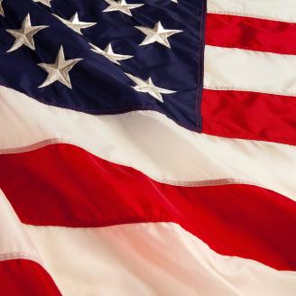 A close up of U.S. flag flying on Feb. 2, 2004. The U.S. Department of Agriculture (USDA) and the U.S. Department of Defense (DOD) have been partners in the fight against disease-spreading insects since before World War II. In 2004, the Deployed War-Fighter Protection (DWFP) research program was implemented to prevent or defend U.S. troops from insect attacks. The story on "DWFP: A Battle Plan To Protect U.S. Troops From Harmful Insects" lists some of ARS’s many DWFP research contributions that
