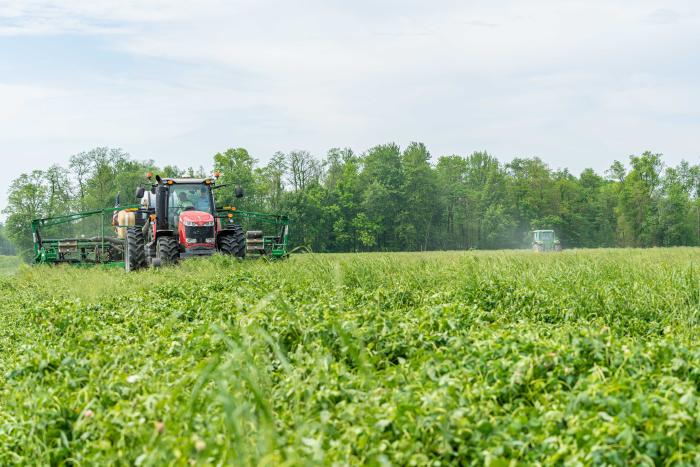 Nick Wenning plants corn directly into a field covered in red clover on May 24, 2021 in Greensburg, Indiana.