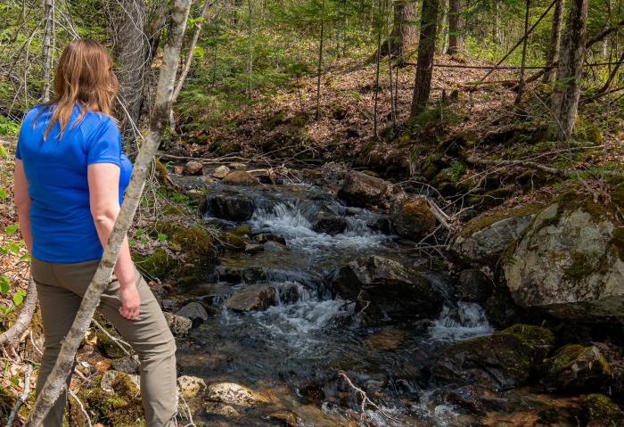 USDA, NRCS District Conservationist for Coӧs County, Kelly Eggleston checks the spring flow of Jimmy Cole Brook on the Kidder conservation easement in Stark, N.H. May 13, 2022. The landowner, Bob Kidder recently placed the land into a conservation easement to protect this brook and aquatic habitat from development. (USDA photo by Jeremy J. Fowler, NRCS, N.H.)