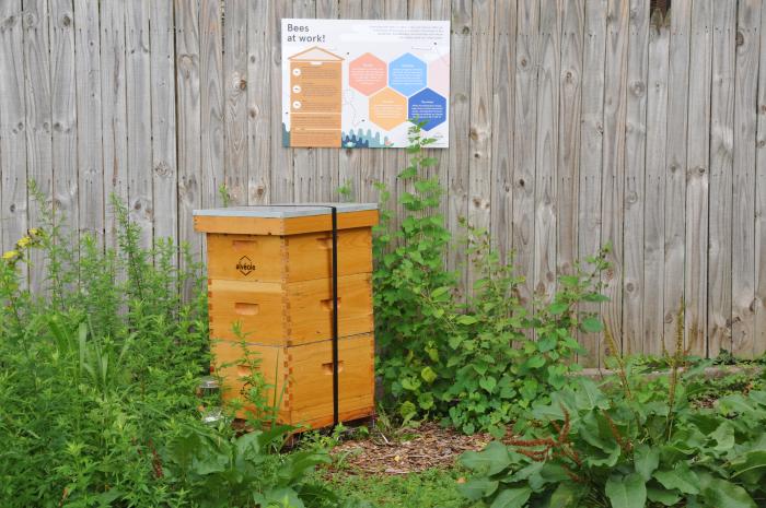 Beehive onsite of urban farm in Delaware.