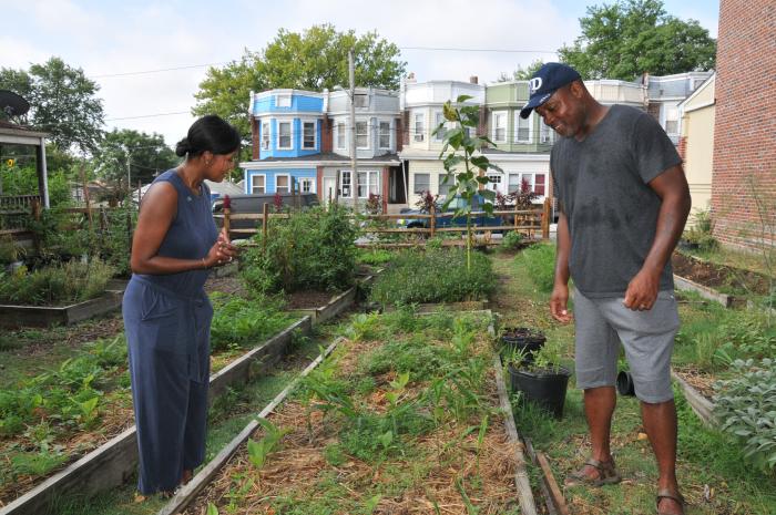 Urban farmer, Matthew Williams, explains herbs growing in urban garden.