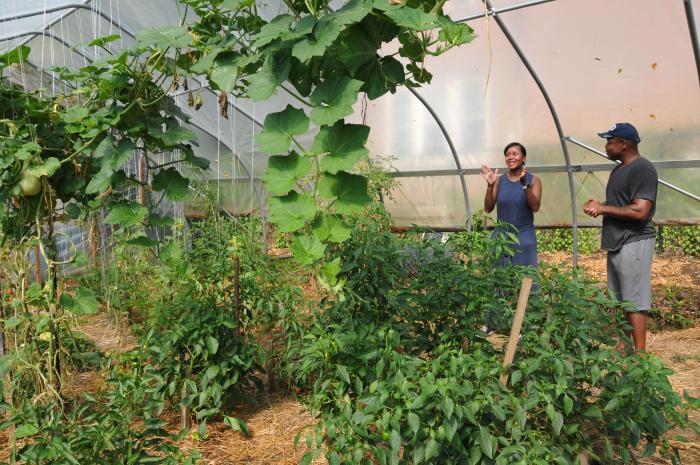 Delaware State Conservationist, Kasey Taylor, visits with Matthew Williams about the successful expansion of his urban farm and discusses opportunities for additional conservation support.