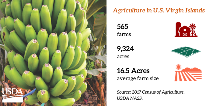 USVI Agricultural Statistics from 2018 Ag Census
