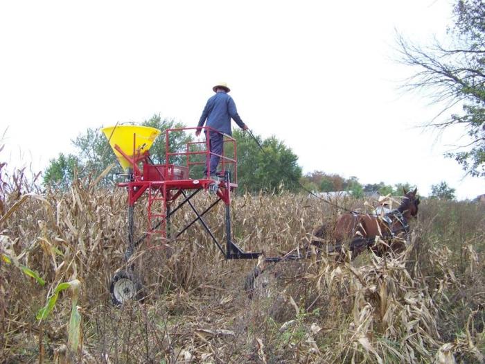 Amish farmer planting