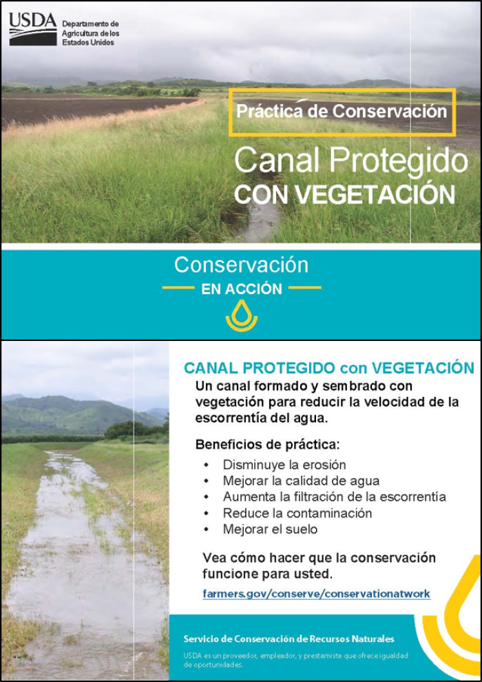Postale de Canal Protegido con Vegetación para Conservación en Acción en el Área del Caribe 