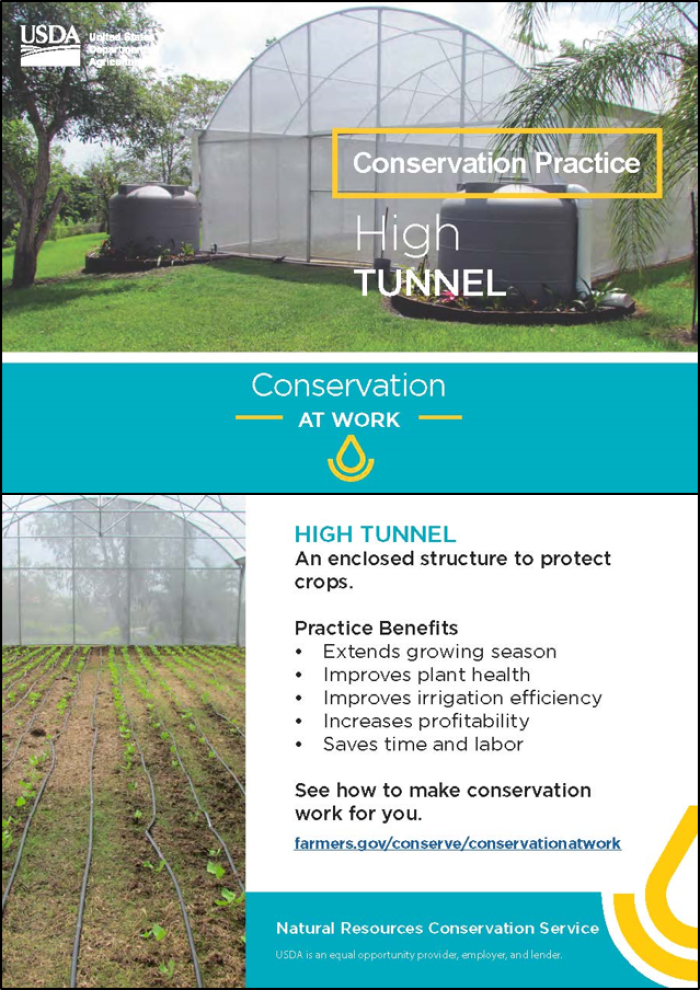Caribbean Conservation at Work High Tunnel postcard