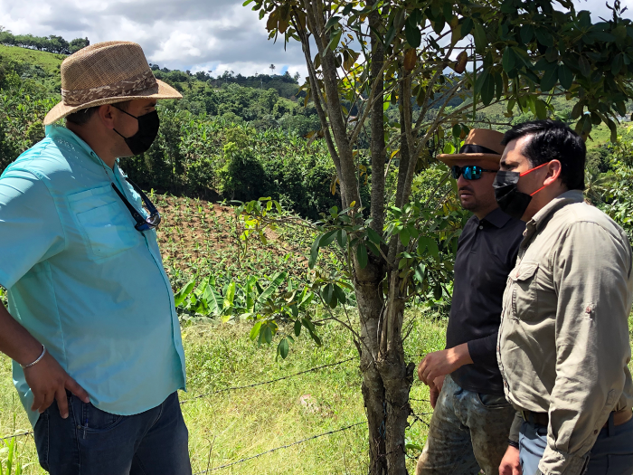 State Agronomist Edrick Marrero (left) and State Director Luis Cruz-Arroyo (right) visit a Corozal, PR, plantain farmer in Sept 2021.