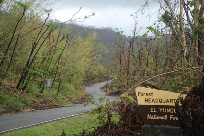 El Yunque National Forest Road PR 191 suffered damages and landslides from Hurricane María - as seen 6 months after the storm. Photos courtesy of Eddie Rivera and USFS.