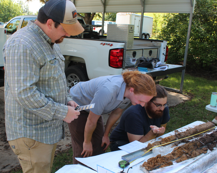 Employees discussing over a soil profile