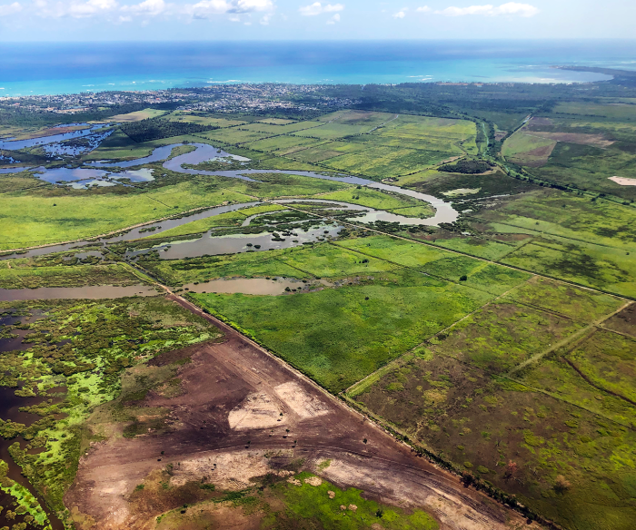 Aerial view of farmed wetlands in Río Grande, Puerto Rico.