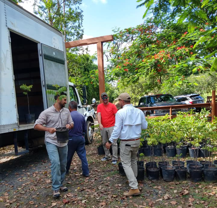 Suroeste SCD, US Forest Service & partners deliver trees to Finca Rancho AA in Sabana Grande-30 Aug 2019.