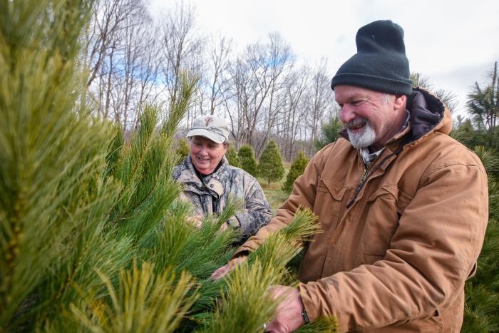 Allen Royer, who co-owns Wagoner Christmas Tree Farm in Putnam County, Indiana, shows off a tree growing on the farm Dec. 14, 2020.
