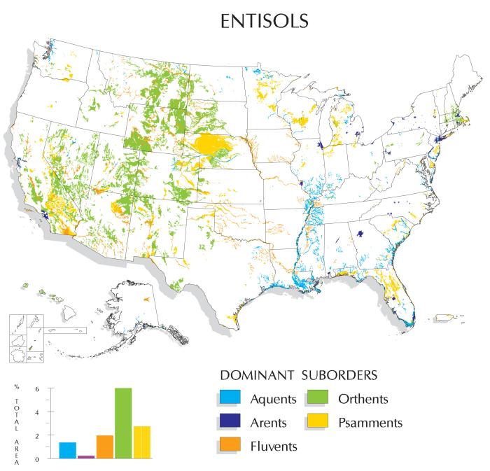 Map showing location of Entisols