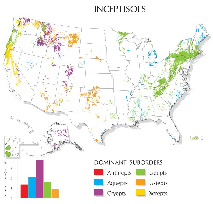 Map showing location of Inceptisols