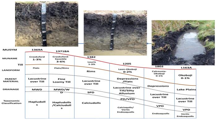 Soils in the northwest sub-watershed